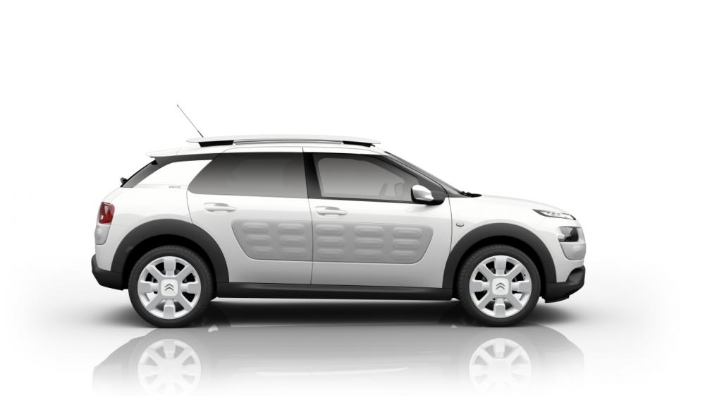  - Citroën C4 Cactus W et Rip Curl (officiel)